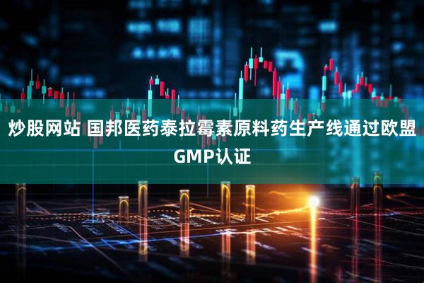 炒股网站 国邦医药泰拉霉素原料药生产线通过欧盟GMP认证