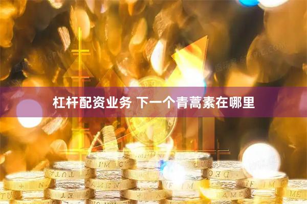 杠杆配资业务 下一个青蒿素在哪里