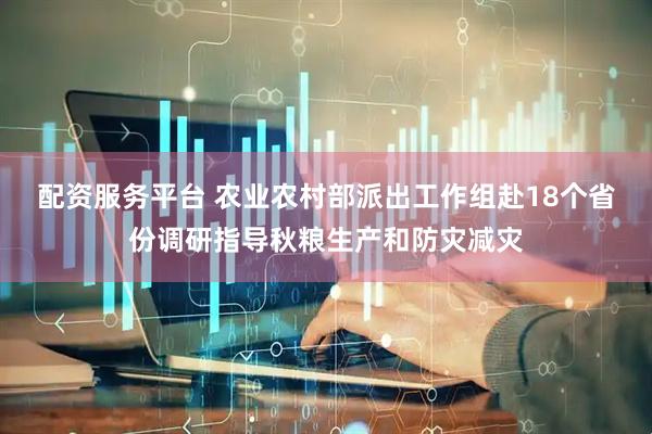 配资服务平台 农业农村部派出工作组赴18个省份调研指导秋粮生产和防灾减灾