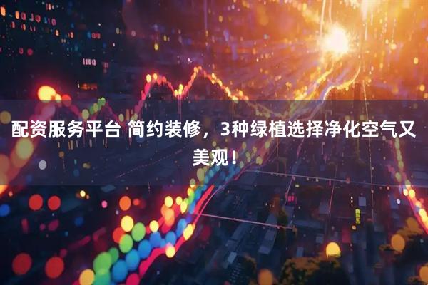 配资服务平台 简约装修，3种绿植选择净化空气又美观！